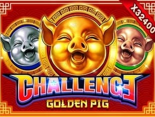 Challenge Golden Pig screenshot